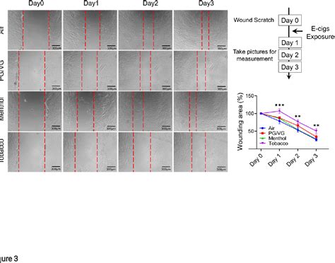 Figure 3 From Tobacco And Menthol Flavored Electronic Cigarettes Induced Inflammation And