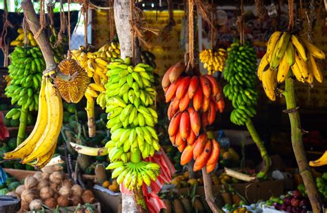 Estas son todas las variedades de plátanos que el Perú tiene para