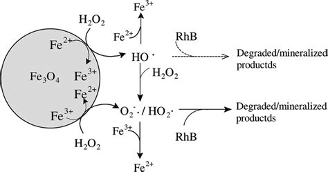 Mechanisms For The Activation Of H O On The Peroxidase Like Fe O