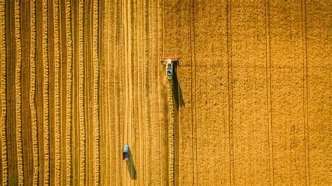 La Met Dei Fondi Europei Per Combattere Il Cambiamento Climatico Non