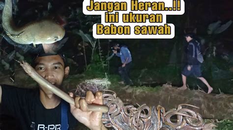 Jangan Heran Kalo Spot Baru Di Tandur Bikin Betah Para Pemancing Belut