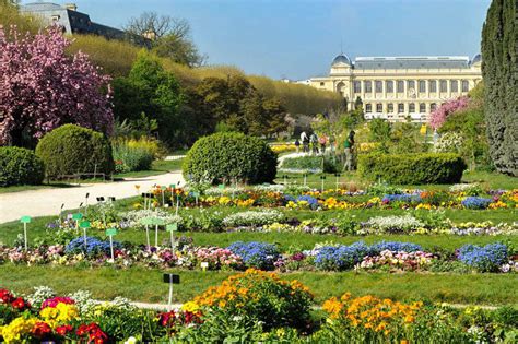 Balade Au Jardin Des Plantes Visites Guidées De Paris Avec Hélène