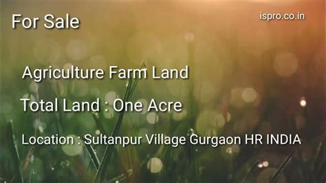 Agriculture Farm Land For Sale Sultanpur Gurgaon Hr India Youtube