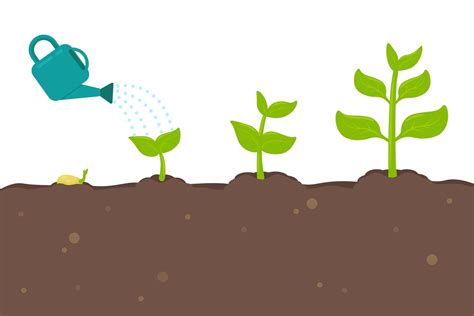 Plants Sprouting from Seeds 1082716 Vector Art at Vecteezy