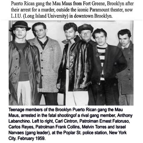 Teenage Members Of The Brooklyn Puerto Rican Gang The Mau Maus History ...