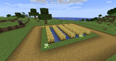 Guide To Farming In Minecraft