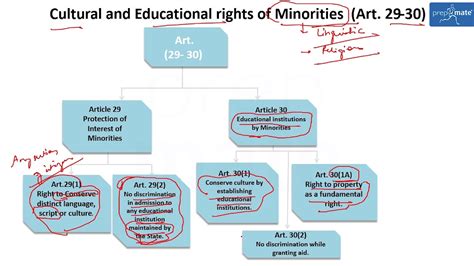 Fundamental Rights Under Article To Youtube