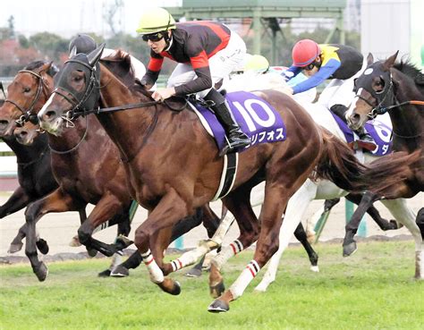 【注目馬動向】昨年の最優秀短距離馬セリフォスがドバイ・ターフの招待受諾 初の1800メートル戦に挑む Umatoku 馬トク