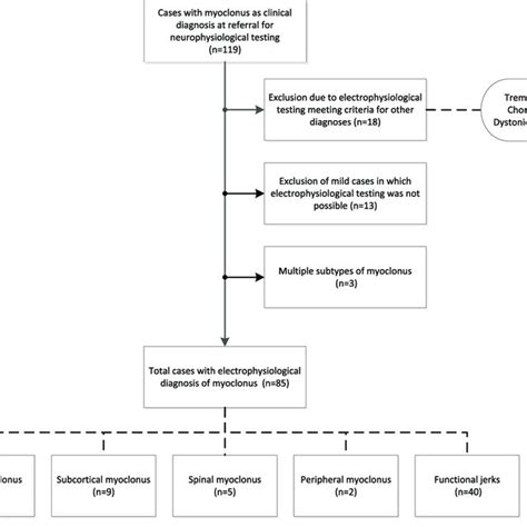 Electrophysiological Characteristics Of Myoclonus According To The