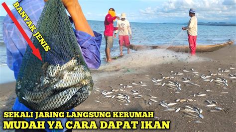 Cara Jaring Ikan Di Laut Luciaaxdougherty