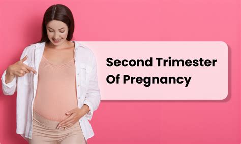 trimester  pregnancy complete guide  women