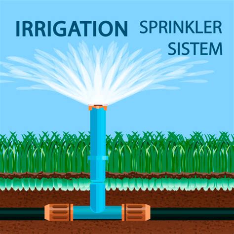 Drip Irrigation Cartoon Illustrations, Royalty-Free Vector Graphics ...