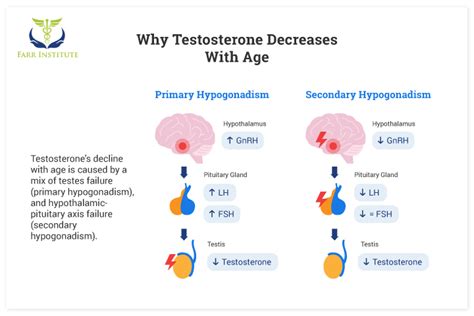 Testosterone Levels By Age A Comprehensive Guide Farr Institute Farr Institute