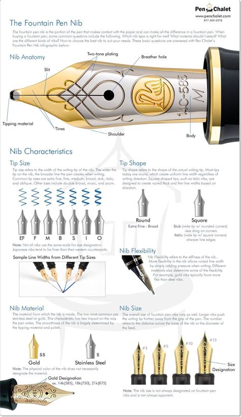 Fountain Pen Nib Infographic By Pen Chalet Fountain Pens Calligraphy