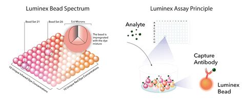 What is a Luminex Assay? Multiplex Assays: R&D Systems