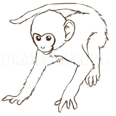 monkey drawing easy cute - Encourage Column Photos