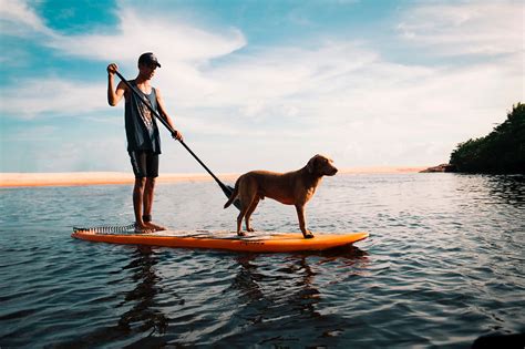 Beneficios De Practicar Paddle Surf