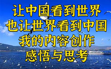 让中国看到世界，也让世界看到中国。我的感悟与思考 波士顿圆脸 波士顿圆脸 哔哩哔哩视频