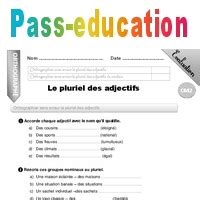 Le Pluriel Des Adjectifs Qualificatifs Cm Evaluation Bilan Pdf