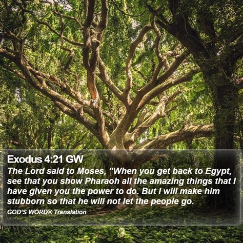 Exodus 4 21 GW The Lord Said To Moses When You Get Back To