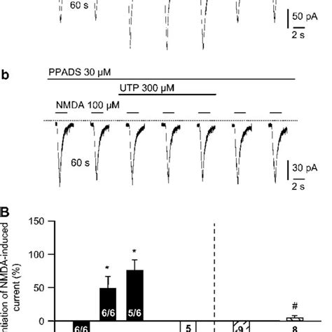 Effect Of Atp On The Nmda Induced Current In Layer V Pyramidal Neurons