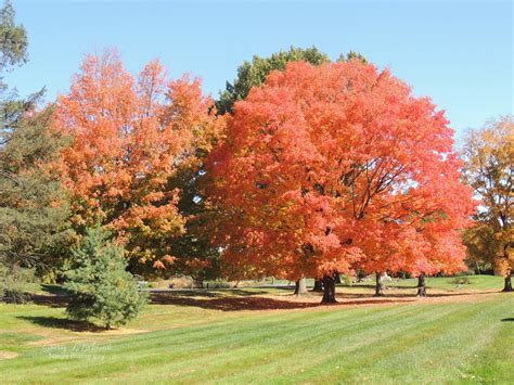 northampton county prothonotary 1