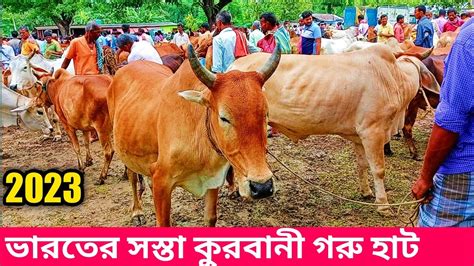 ভাই কতো ২০২৩ ২০২৩ সালের কোরবানি পশুর দাম দিগুণ ভারতের সারাই হাট