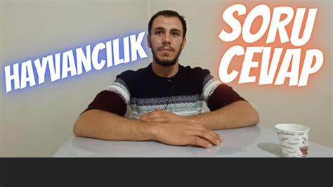 HAYVANCILIK HAKKINDA SORU CEVAP Hayvanlar Hayvan YouTube