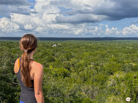 Calakmul Spektakul Re Maya Ruinen Mitten Im Dschungel