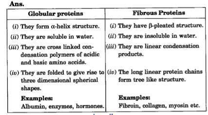 Give Any Three Differences Between Fibrous And Globular Protiens