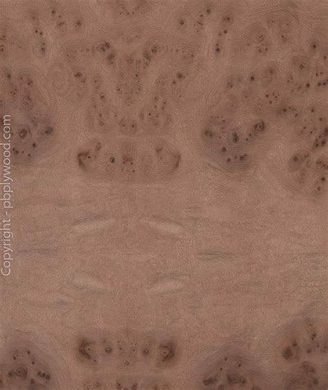 Elm Burl Veneered Blockboard Peter Benson Plywood Ltd