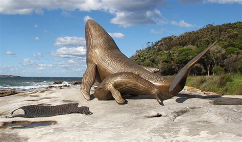 Kamay Botany Bay National Park Nsw National Parks