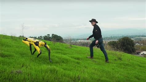 Adam Savage Tested Boston Dynamics Spot Robot Dog Nerdist