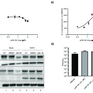 Bi D A P Rsk Inhibitor Increases Rvfv Replication A H