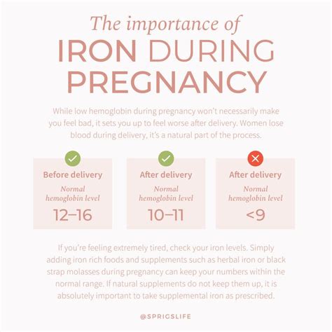 Maintain Healthy Iron Levels for an Easier Postpartum