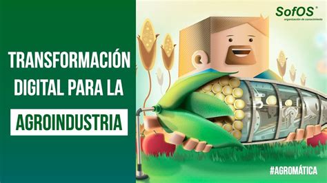 Transformación digital en la Agroindustria Agromática YouTube