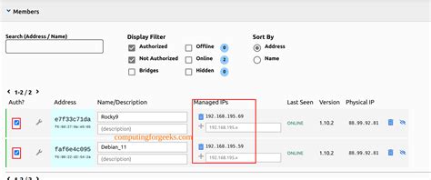 Cómo configurar y utilizar el servidor VPN ZeroTier