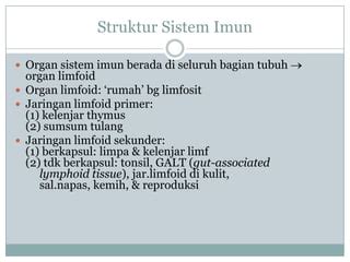 sistem imun