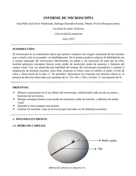 Informe DE Microscopía Final Laboratorio de biologia Uni Pamplona