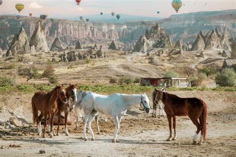 Cappadocia Sunset Horseback Riding Tour Getyourguide