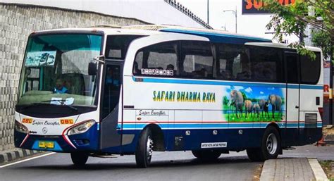 Harga Tiket Bus Safari Dharma Raya 2017