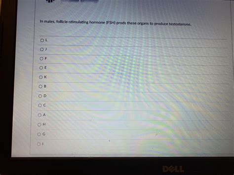 Solved Match The Following Descriptions With The Appropriate Chegg