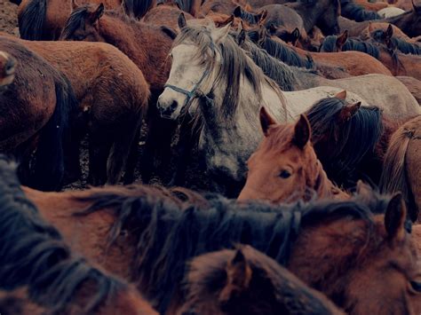 Ppe Farm Photos Download The Best Free Ppe Farm Stock Photos And Hd Images