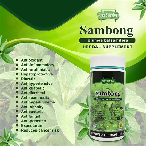 Sambong Herbal Supplement 100 Capsulesbottle Blumea Balsamifera