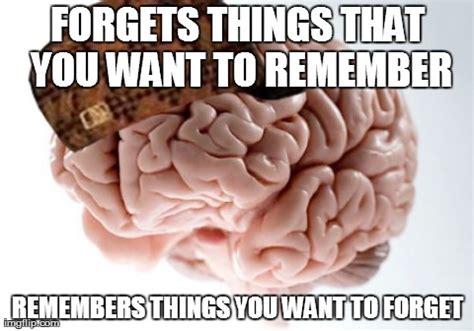 Scumbag Brain Memes Imgflip