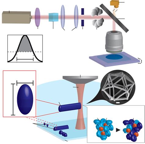 Laser Writing System For Microfabrication Of Proteinaceous