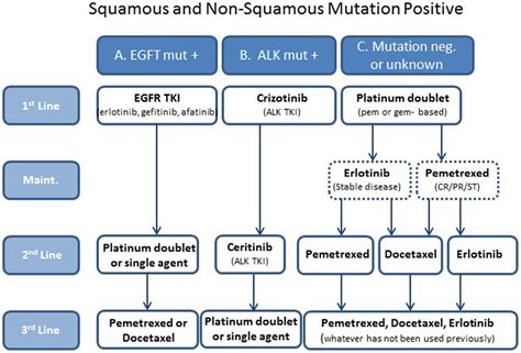 Frontiers Treatment Algorithms For Patients With Metastatic Non Small