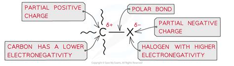 Reactions Of Halogenoalkanes Aqa A Level Chemistry Revision Notes 2017