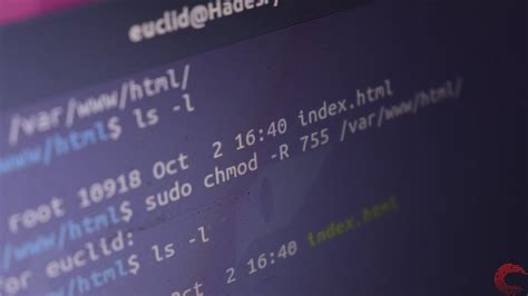 How To Change File Permissions Recursively Using Chmod In Linux