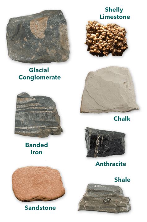 3 Types Of Rock Igneous Sedimentary Metamorphic AMNH Igneous Rock